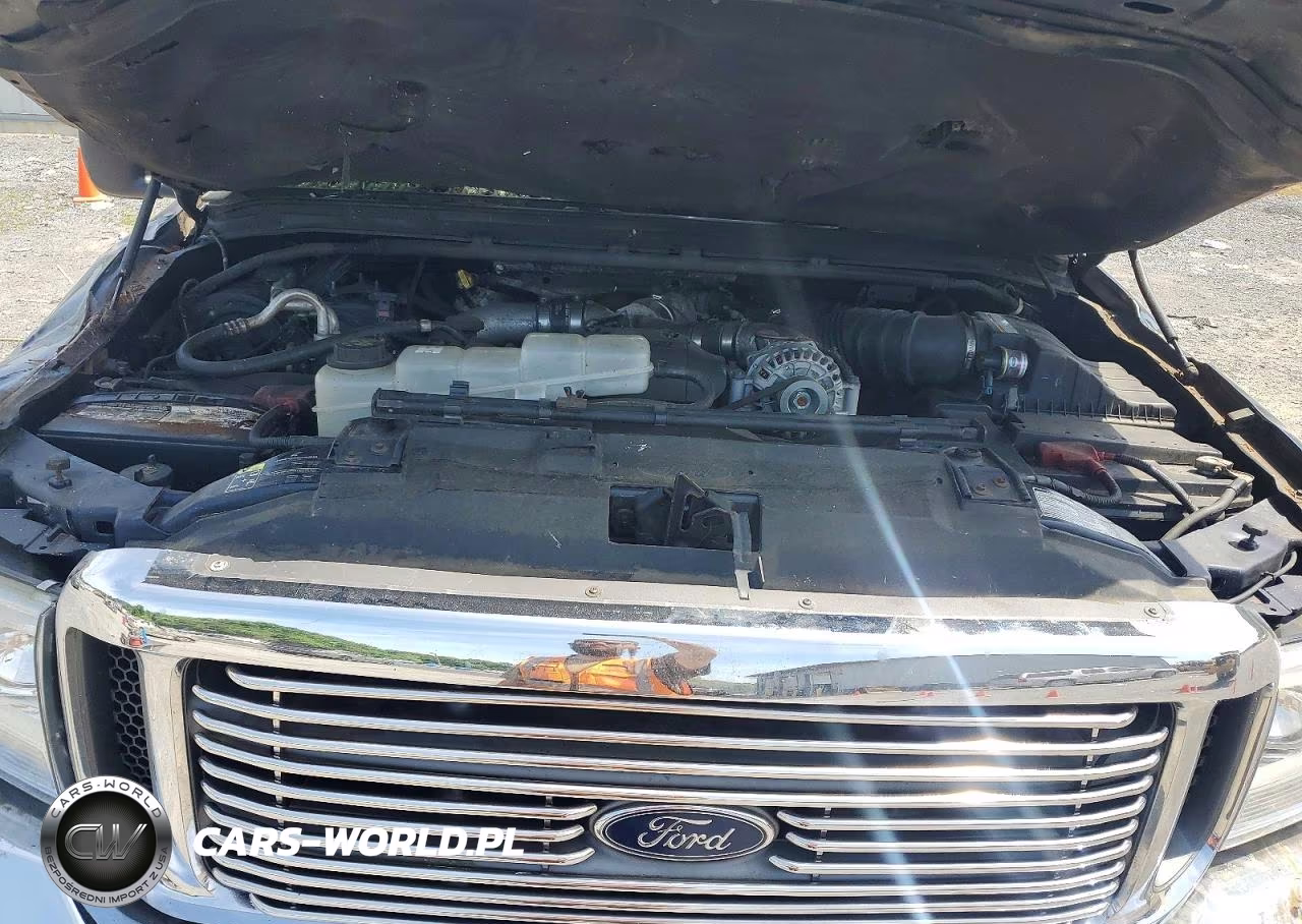 2002 Ford F350 Srw Super Duty VIN:1FTSX31F52EA25166 - 11