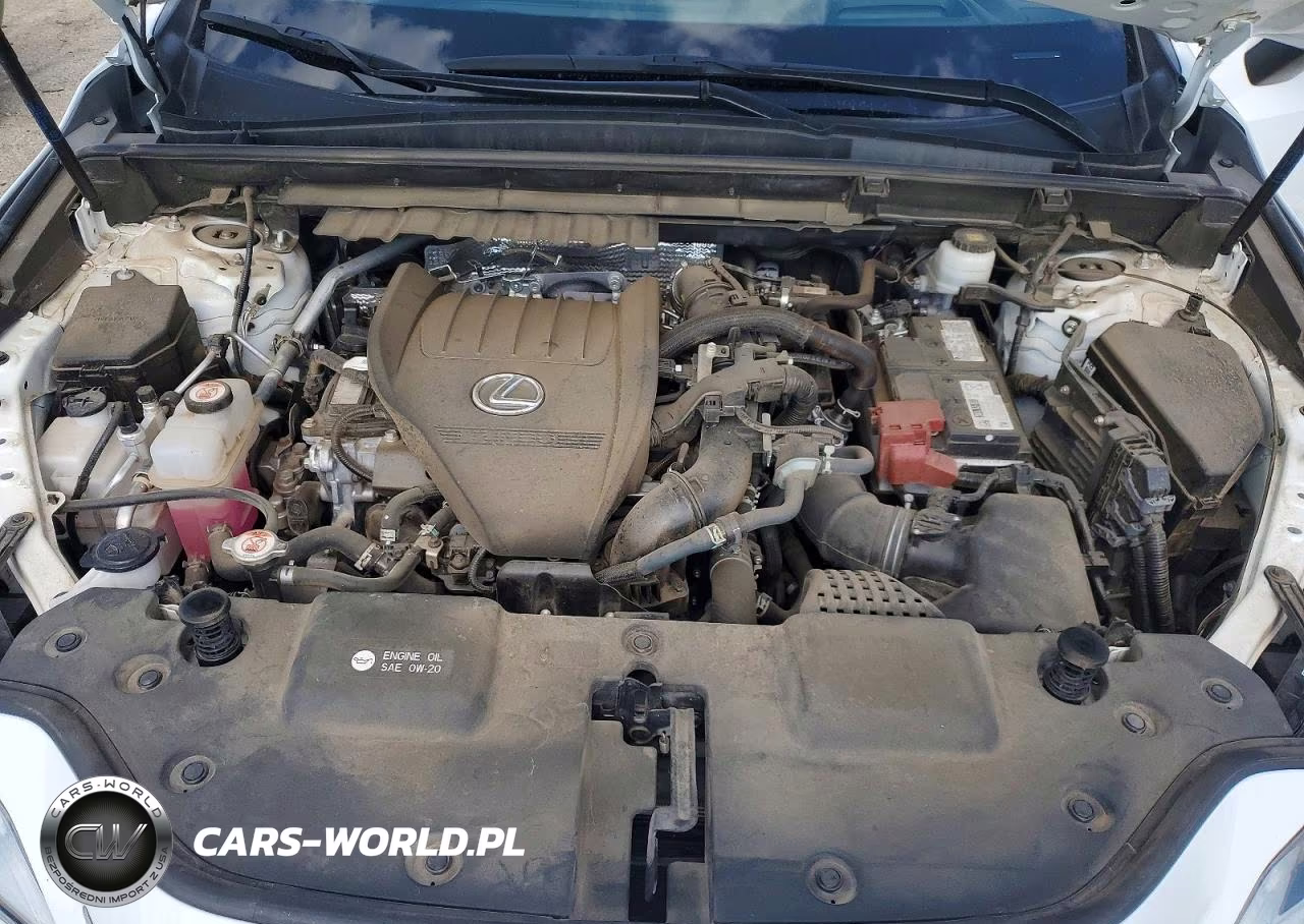 2023 Lexus Nx 350 VIN:2T2KGCEZ8PC018075 - 11