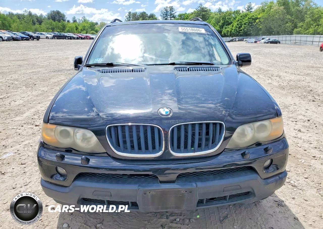 2005 BMW X5 3.0I VIN:5UXFA13595LY14463 - 5