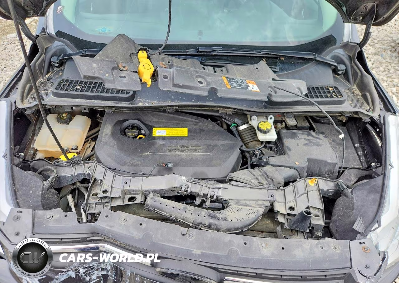 2015 Ford Escape Se VIN:1FMCU0GX9FUC76887 - 12