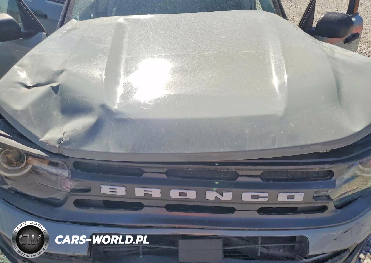 2021 Ford Bronco Sport Big Be VIN:3FMCR9B65MRA14695 - 11