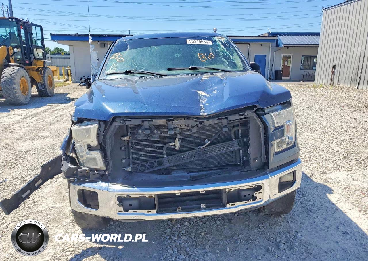 2016 Ford F-150 Xl VIN:1FTEX1CP7GKF62654 - 5