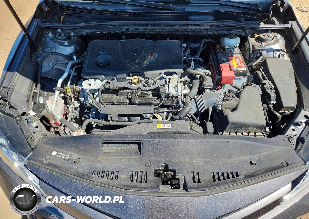 2019 Toyota Camry Le VIN:4T1B11HK0KU229514 - 11