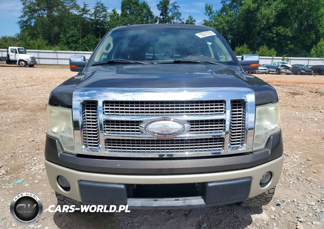 2009 Ford F150 Supercrew VIN:1FTPW12V99KC07919 - 5