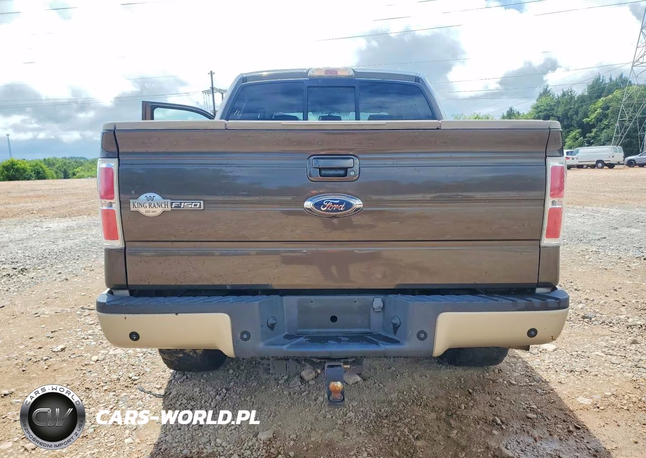 2009 Ford F150 Supercrew VIN:1FTPW12V99KC07919 - 6
