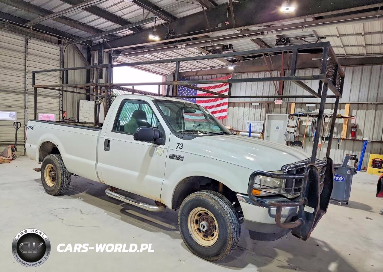 2004 Ford F250 Super Duty VIN:3FTNF21L64MA12620 - 4