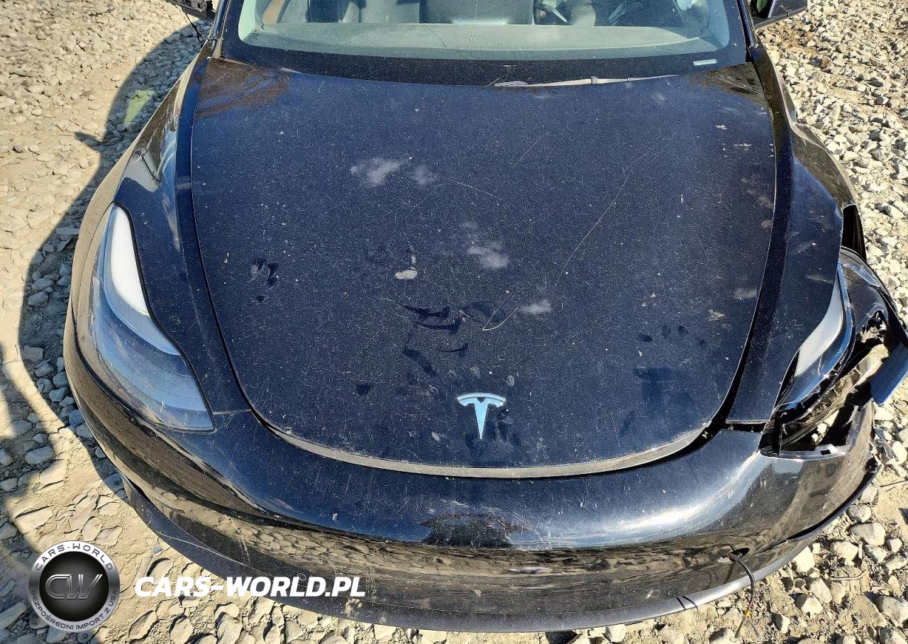 2022 Tesla Model 3 VIN:5YJ3E1EA2NF194819 - 11