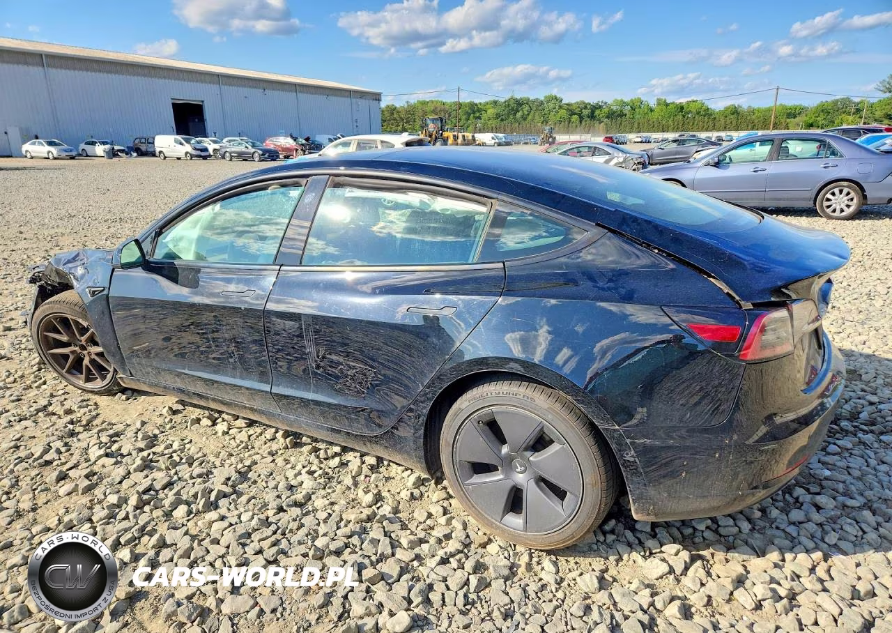 2022 Tesla Model 3 VIN:5YJ3E1EA2NF194819 - 2