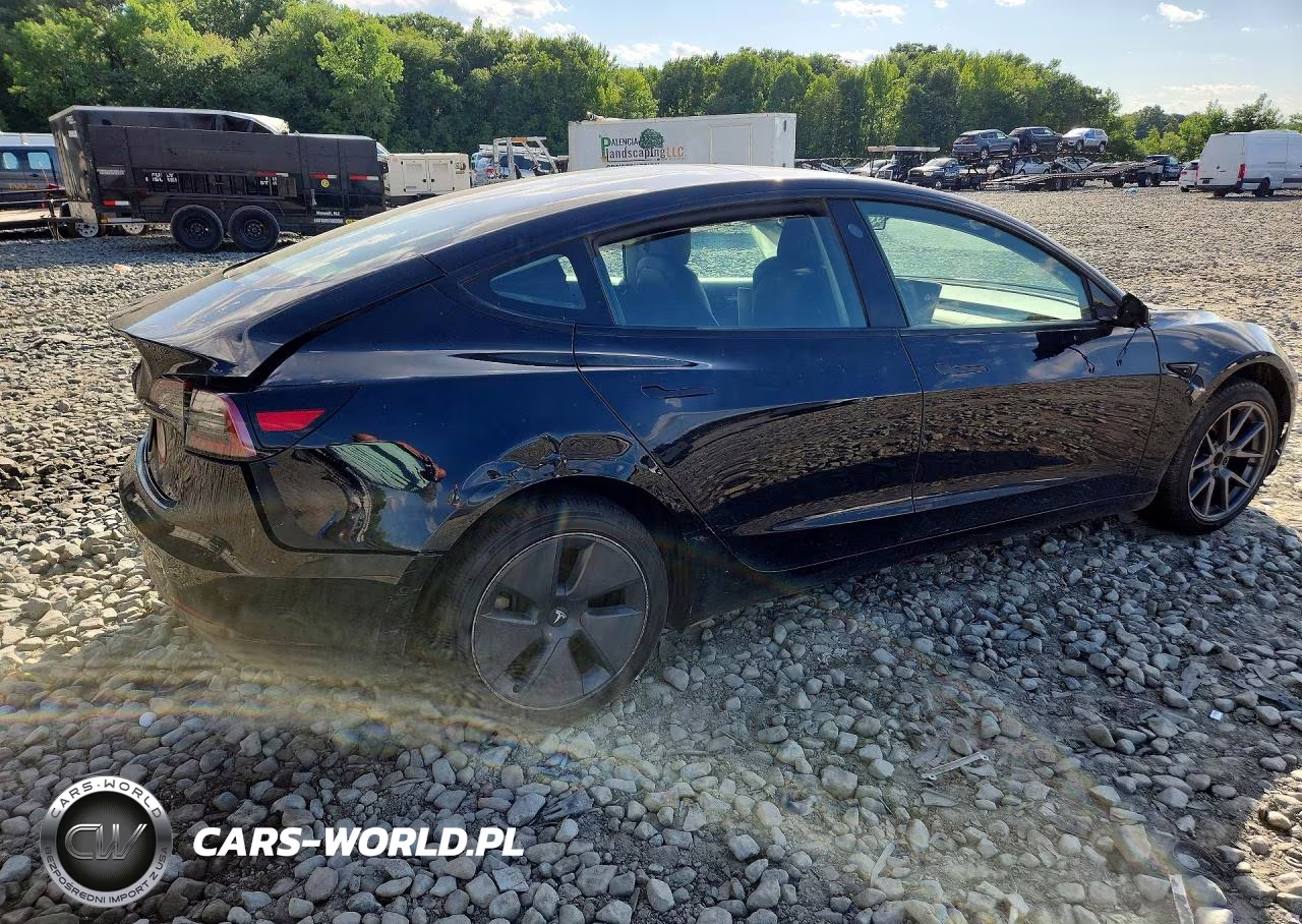 2022 Tesla Model 3 VIN:5YJ3E1EA2NF194819 - 3