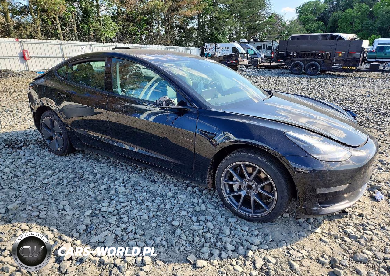 2022 Tesla Model 3 VIN:5YJ3E1EA2NF194819 - 4