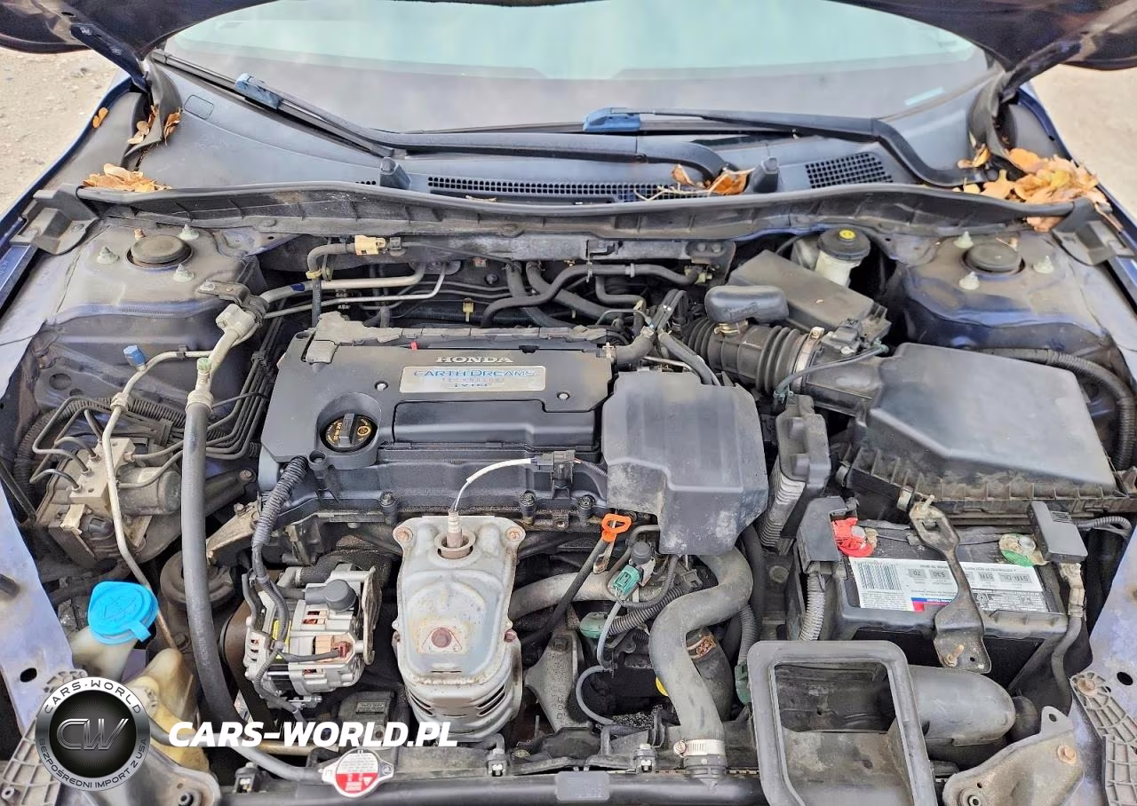 2013 Honda Accord Lx VIN:1HGCR2F35DA177256 - 11