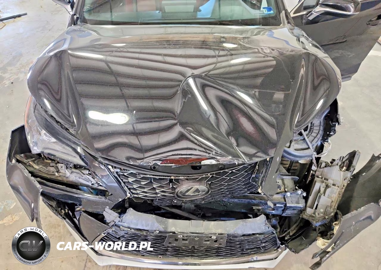 2018 Lexus Nx 300 F Sport VIN:JTJYARBZ7J2105685 - 12