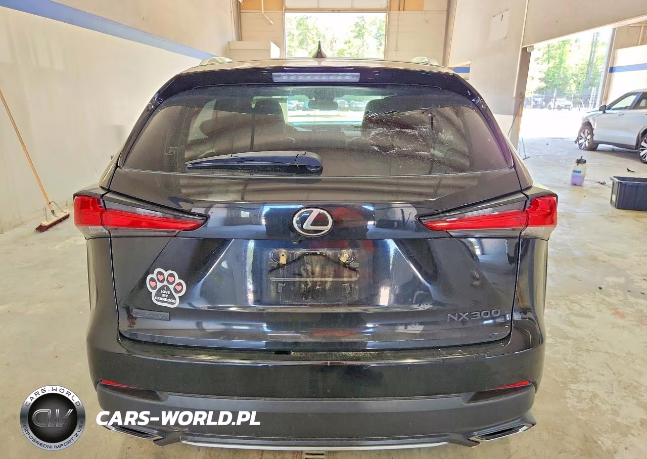 2018 Lexus Nx 300 F Sport VIN:JTJYARBZ7J2105685 - 6