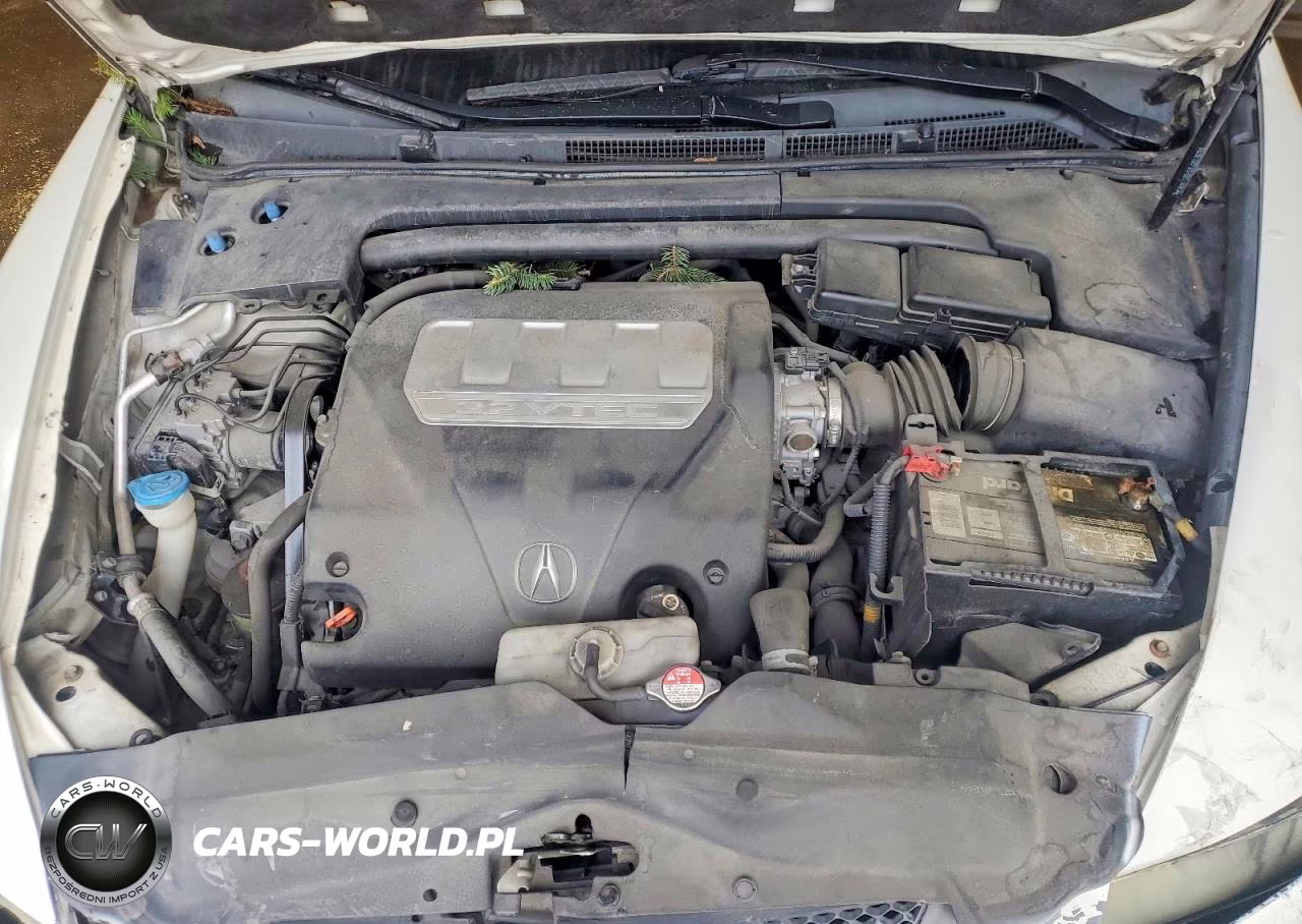 2008 Acura Tl VIN:19UUA66278A033823 - 11