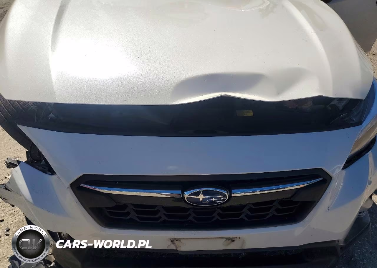 2019 Subaru Crosstrek Limited VIN:JF2GTAMCXK8311263 - 12