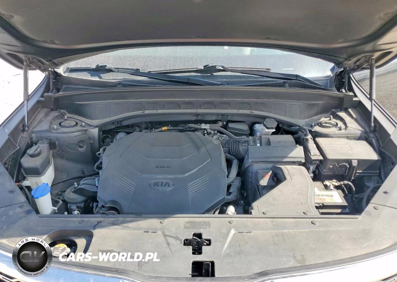 2020 Kia Telluride S VIN:5XYP6DHC7LG080849 - 12