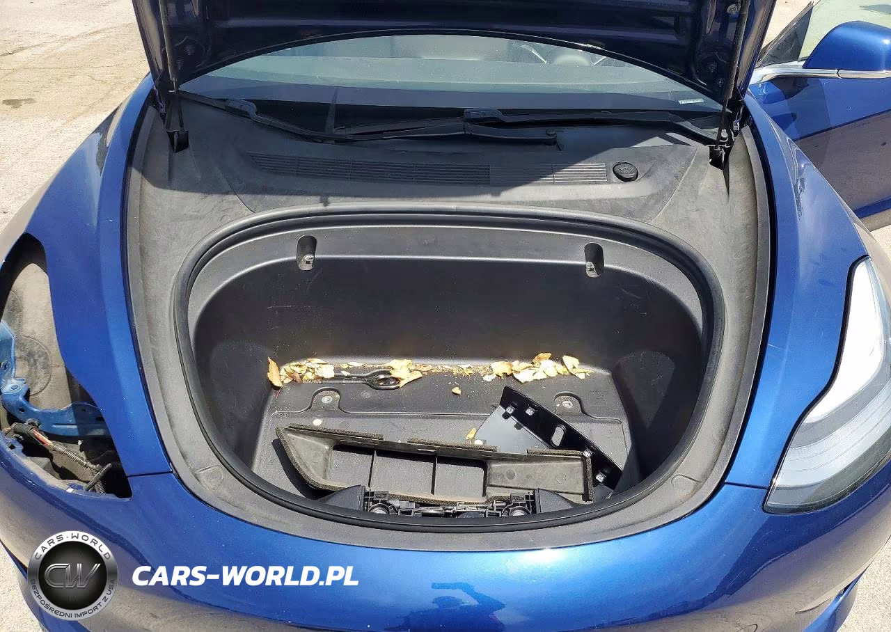 2020 Tesla Model 3 VIN:5YJ3E1EB6LF620503 - 11