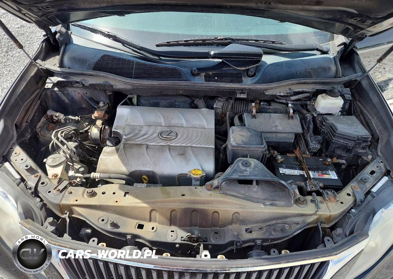 2010 Lexus Rx 350 VIN:2T2BK1BA9AC065527 - 12