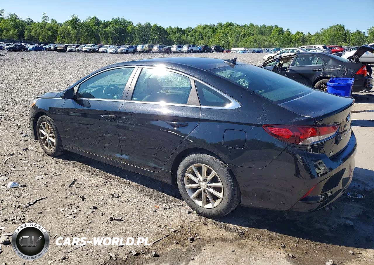 2019 Hyundai Sonata Se VIN:5NPE24AF9KH761562 - 2