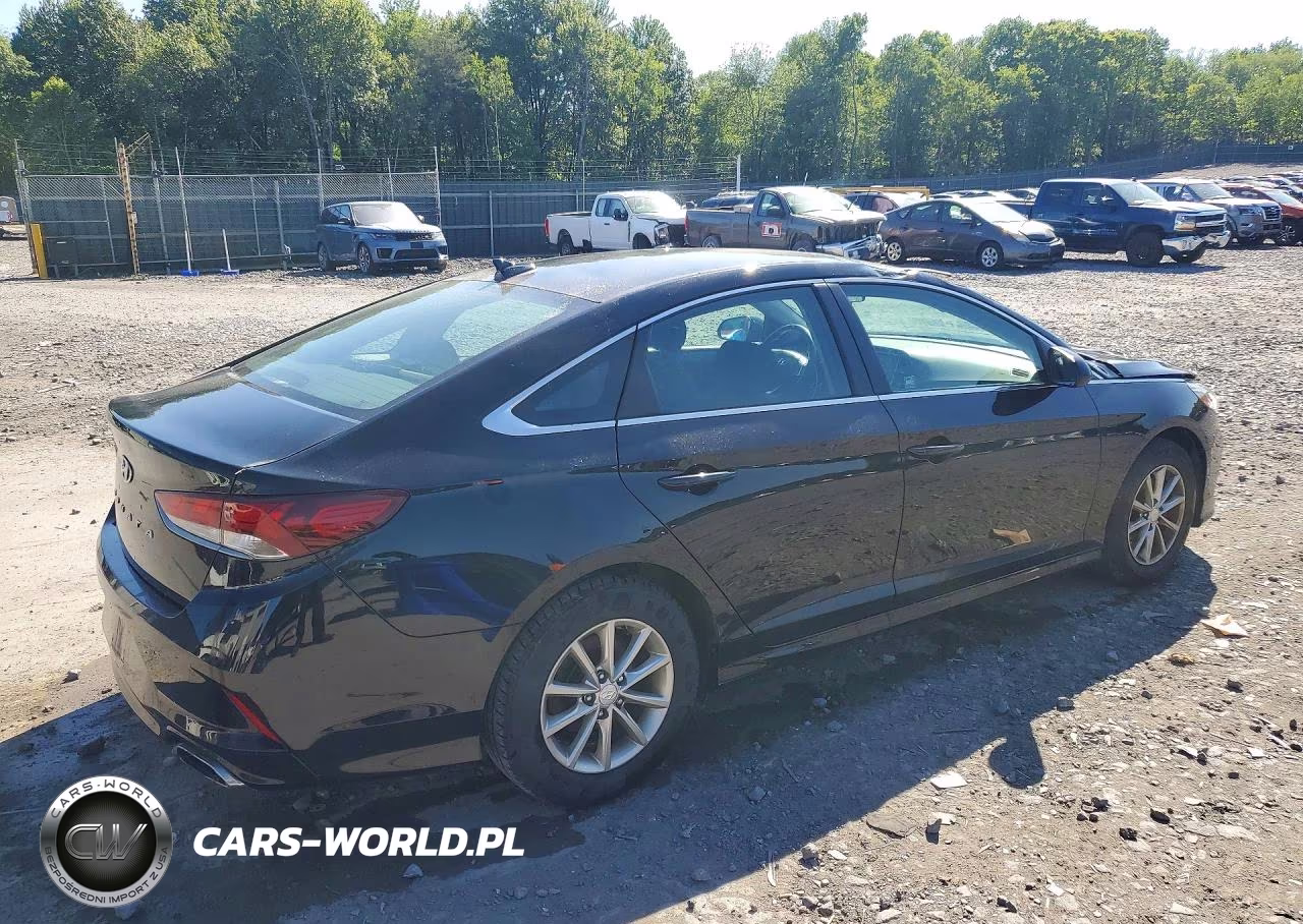 2019 Hyundai Sonata Se VIN:5NPE24AF9KH761562 - 3