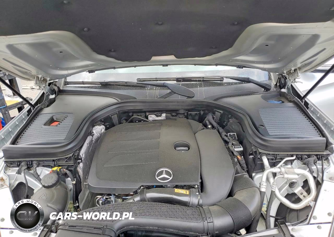 2020 Mercedes-Benz Glc 300 VIN:W1N0G8DB8LF785237 - 12