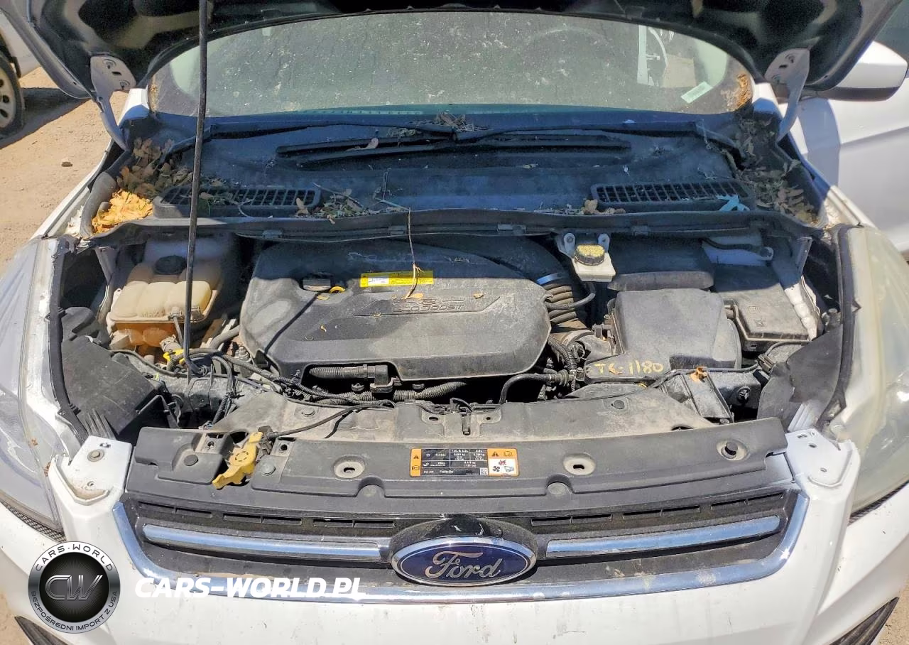 2015 Ford Escape Se VIN:1FMCU0GXXFUB36556 - 12