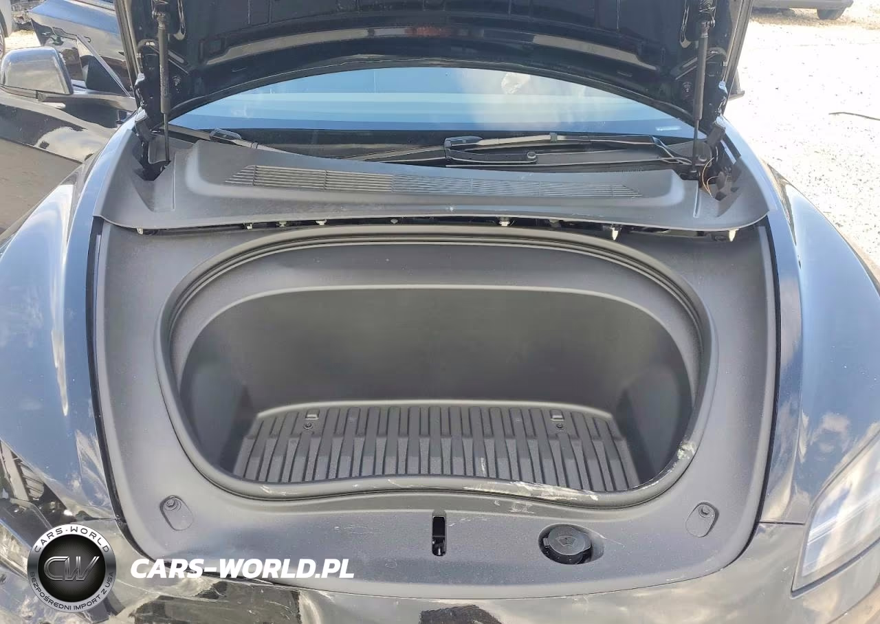 2025 Tesla Model 3 VIN:5YJ3E1EA9SF985280 - 11