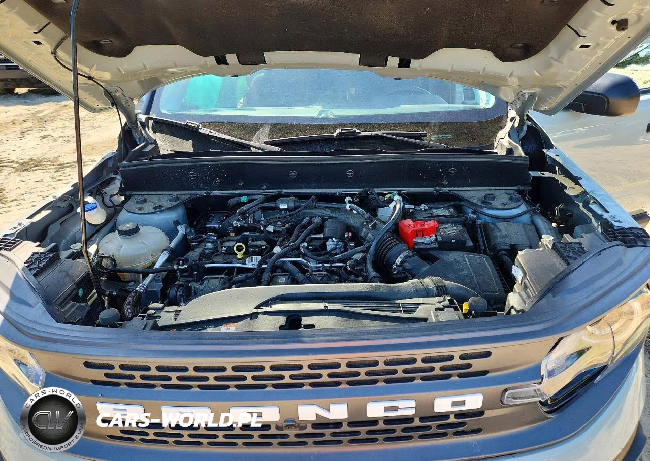 2024 Ford Bronco Sport Badlands VIN:3FMCR9D95RRE21141 - 12