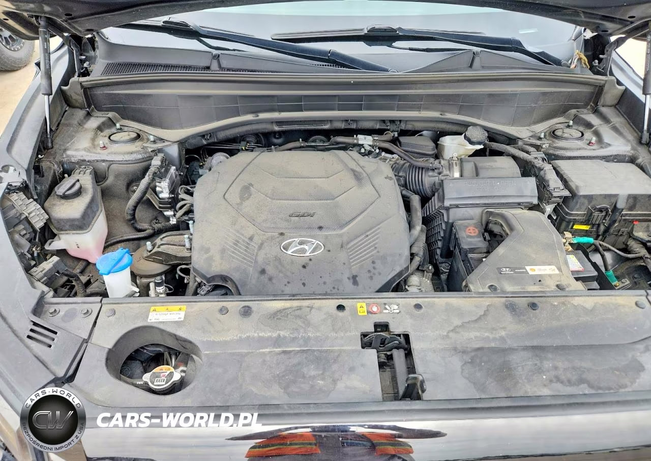 2023 Hyundai Palisade Sel Premium VIN:KM8R4DGE3PU538131 - 12