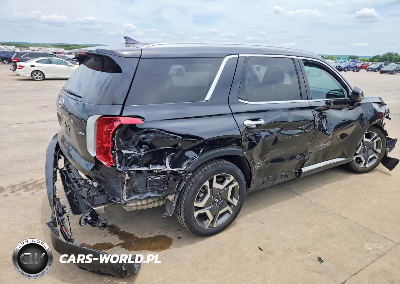 2023 Hyundai Palisade Sel Premium VIN:KM8R4DGE3PU538131 - 3