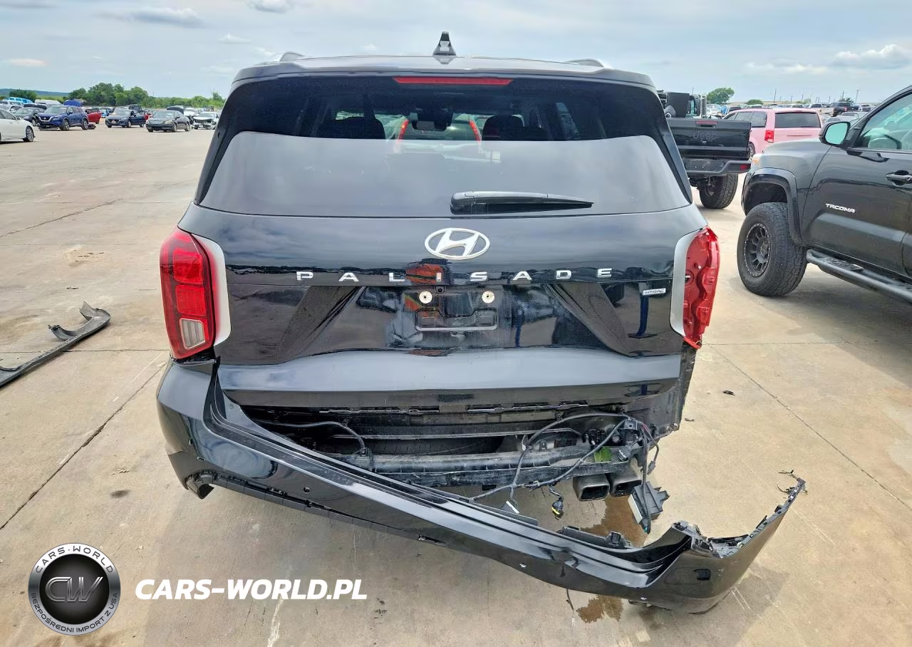 2023 Hyundai Palisade Sel Premium VIN:KM8R4DGE3PU538131 - 6