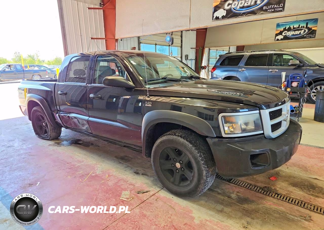2011 Dodge Dakota Slt VIN:1D7RW3GP9BS598757 - 4