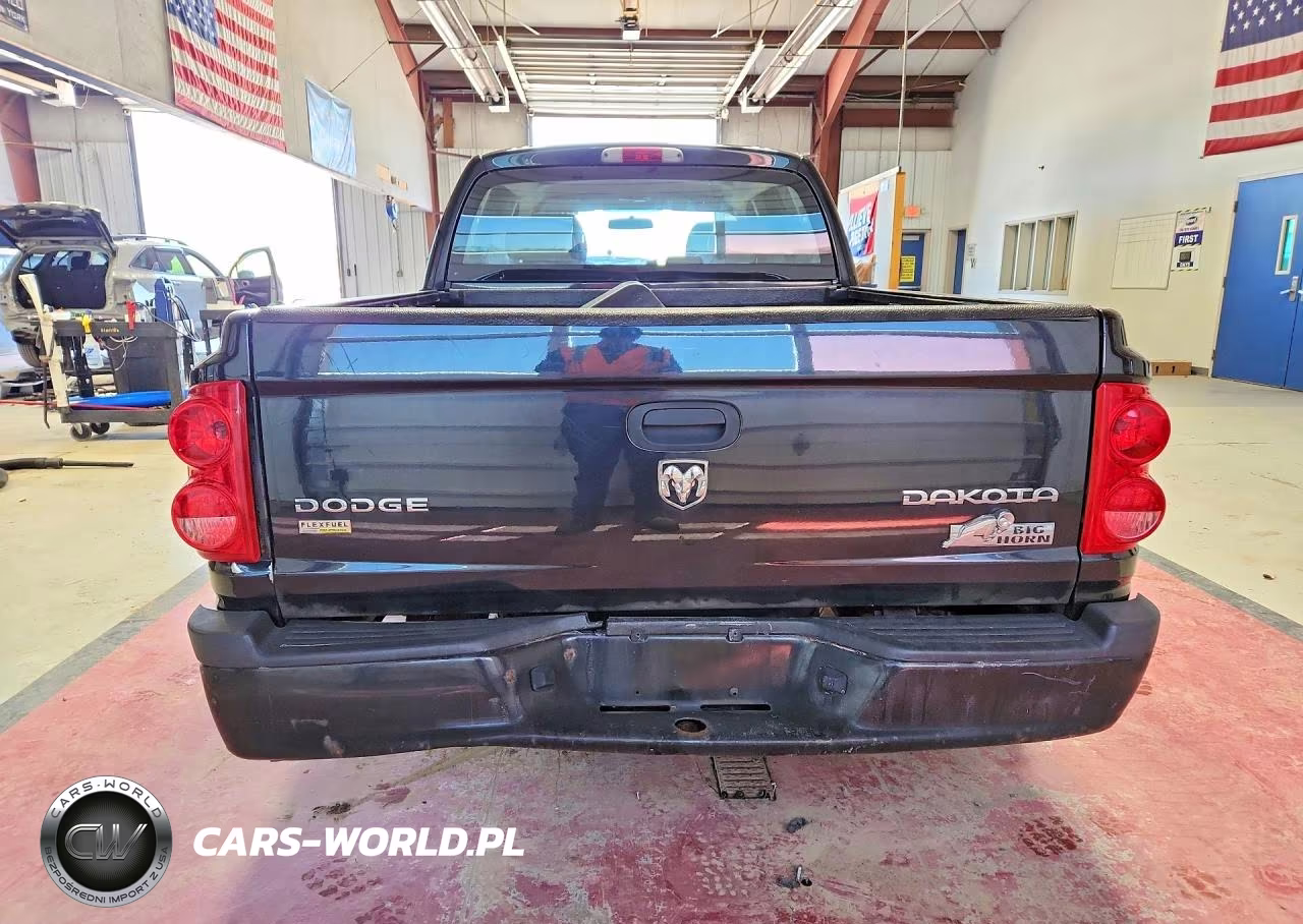 2011 Dodge Dakota Slt VIN:1D7RW3GP9BS598757 - 6