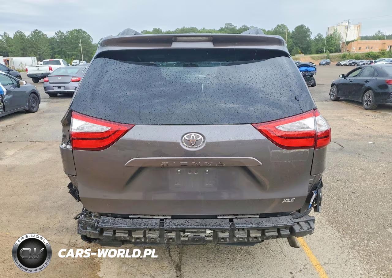 2016 Toyota Sienna Xle 8-Passenger VIN:5TDYK3DC8GS741944 - 6