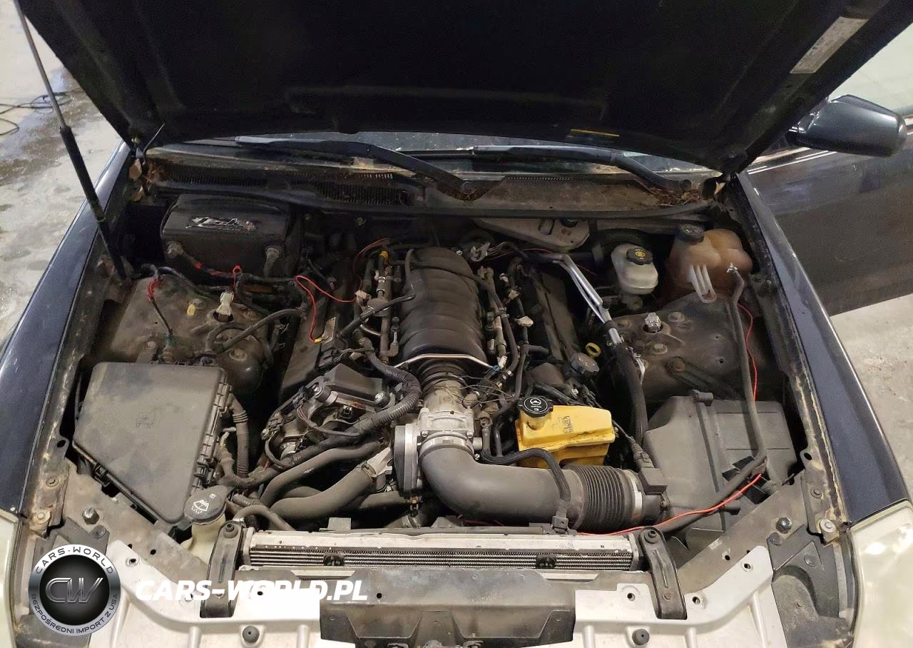 2005 Cadillac Sts VIN:1G6DC67A150214242 - 11