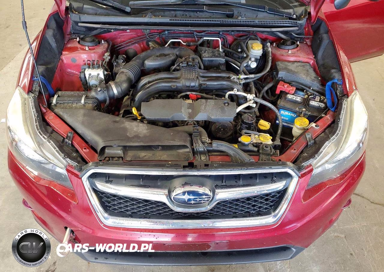 2013 Subaru Xv Crosstrek 2.0 Premium VIN:JF2GPACC2D1900003 - 12