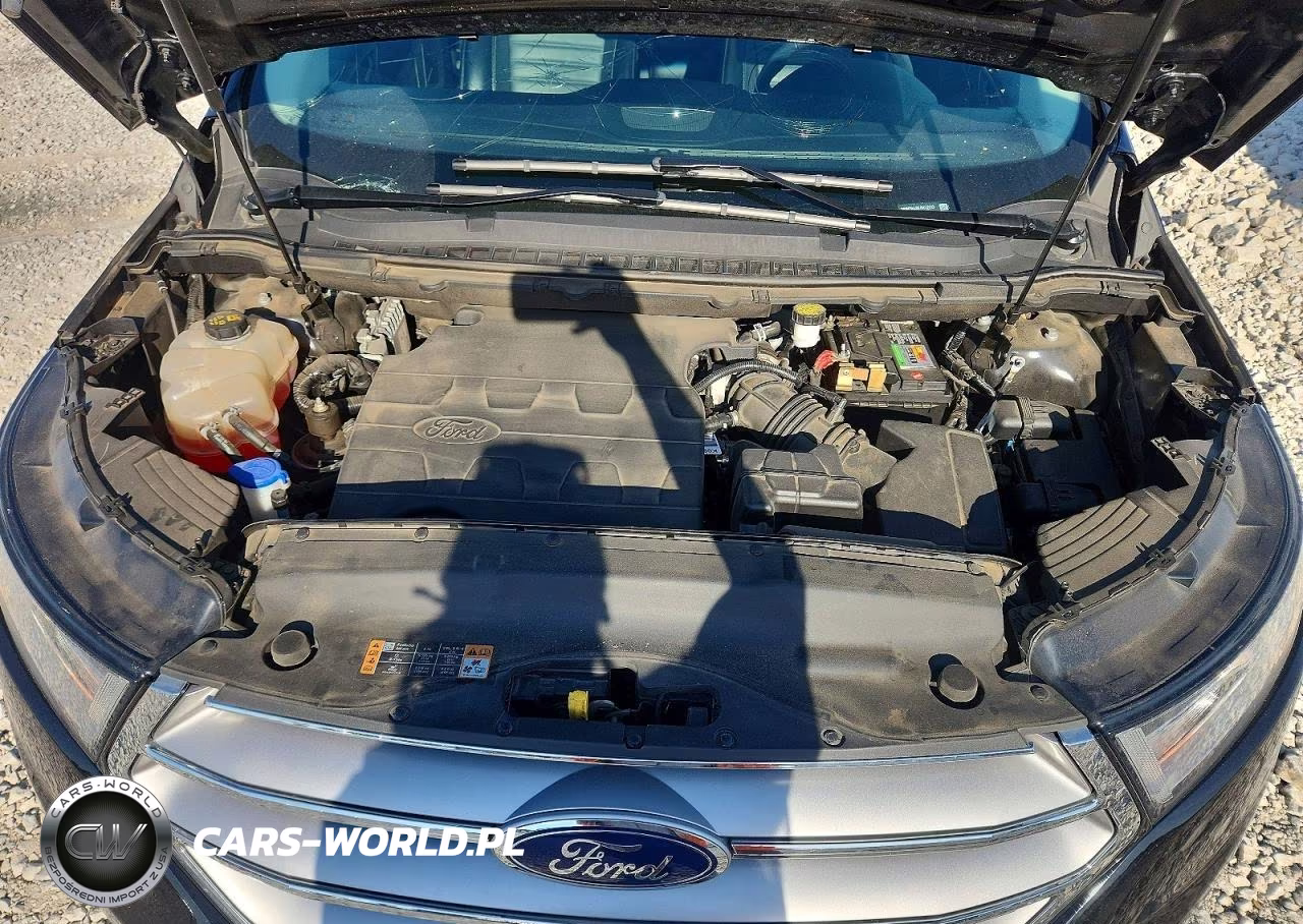 2018 Ford Edge Sel VIN:2FMPK4J85JBC12313 - 12