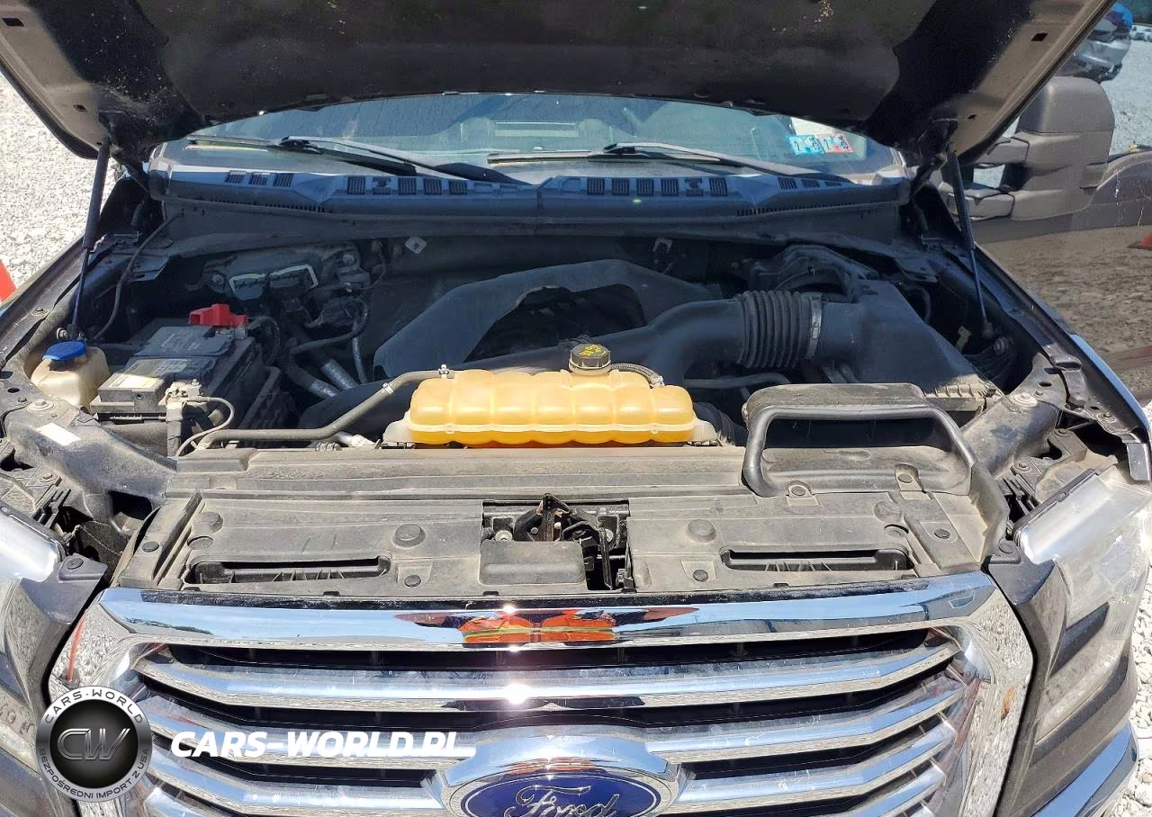 2015 Ford F150 Supercrew VIN:1FTFW1EG3FFC49967 - 11