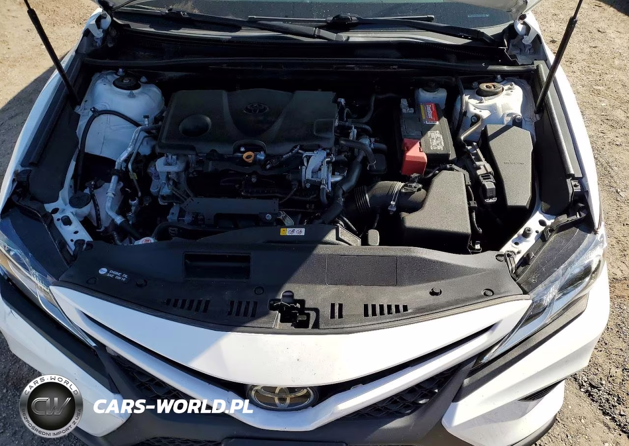2019 Toyota Camry Se VIN:4T1B11HK1KU696036 - 11