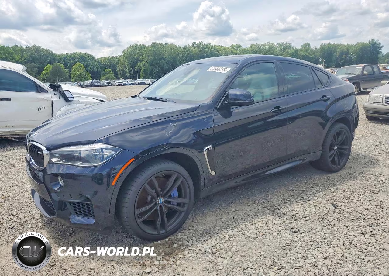 2019 BMW X6 M
