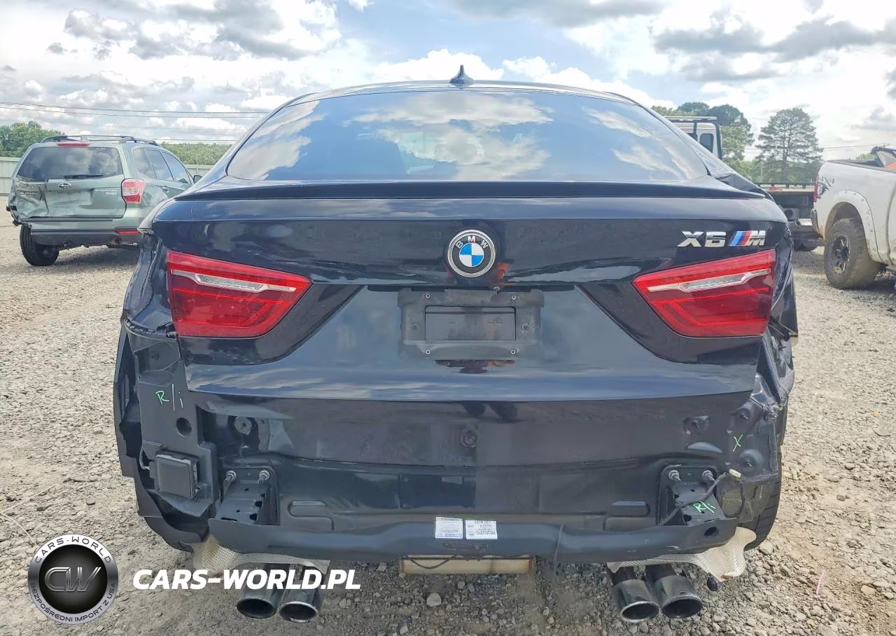 2019 BMW X6 M VIN:5YMKW8C50KLR38425 - 6