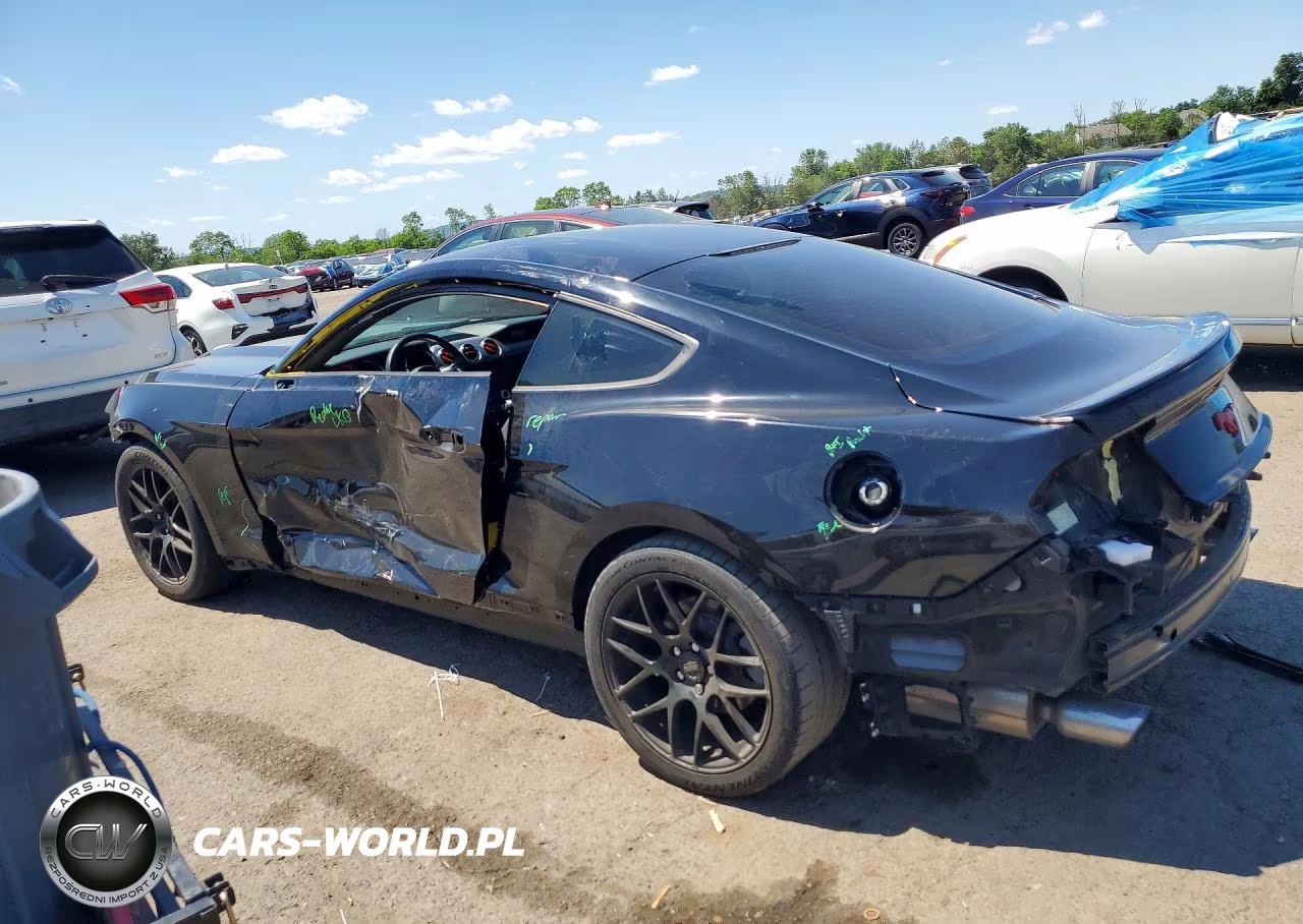 2017 Ford Mustang VIN:1FA6P8THXH5300901 - 2