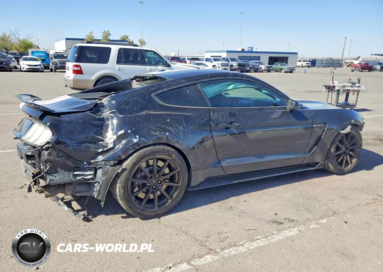 2018 Ford Mustang Shelby Gt350 VIN:1FA6P8JZXJ5501277 - 3