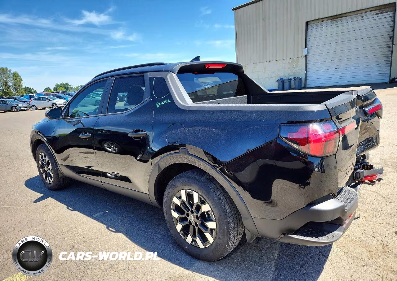 2025 Hyundai Santa Cruz Sel VIN:5NTJBDDE5SH134201 - 2