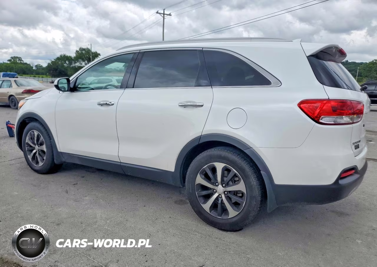 2017 Kia Sorento Ex VIN:5XYPH4A12HG260217 - 2