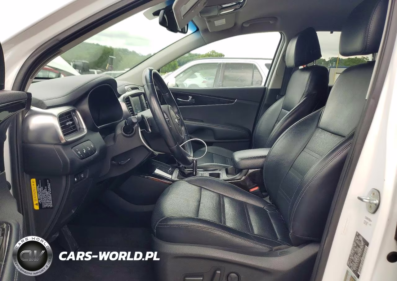 2017 Kia Sorento Ex VIN:5XYPH4A12HG260217 - 7