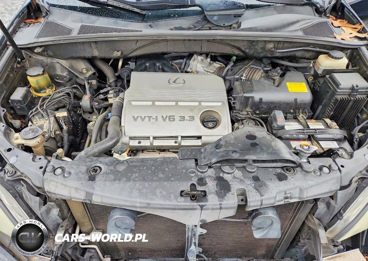 2004 Lexus Rx 330 VIN:JTJGA31U340004271 - 11