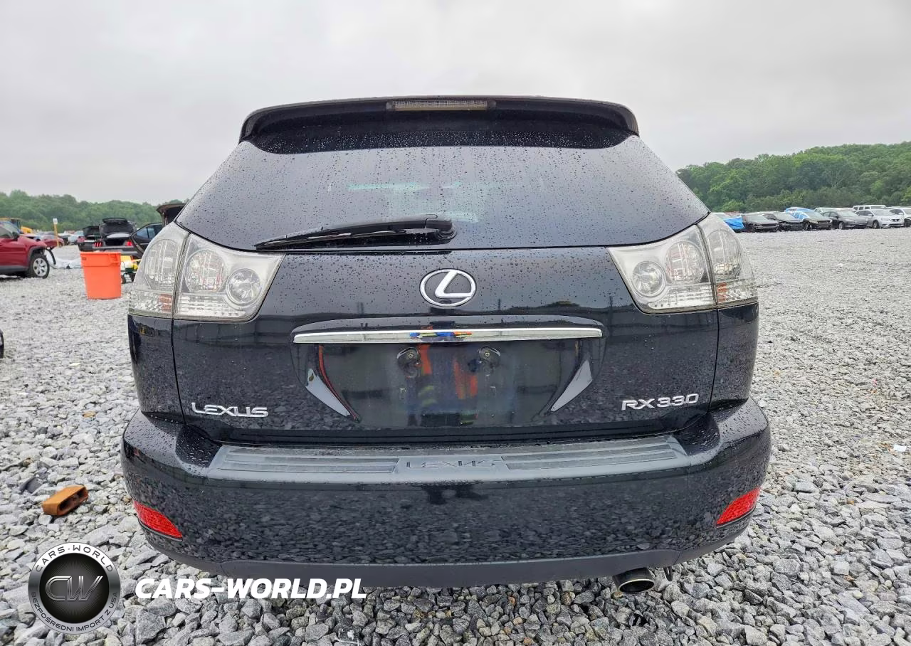 2004 Lexus Rx 330 VIN:JTJGA31U340004271 - 6