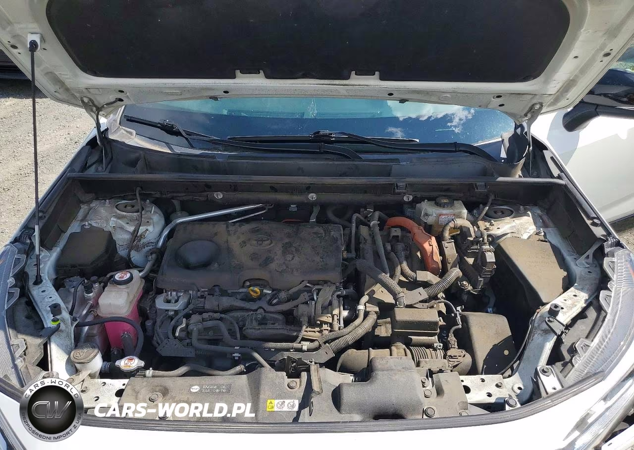 2019 Toyota Rav4 Xse VIN:JTMEWRFV9KJ023477 - 12