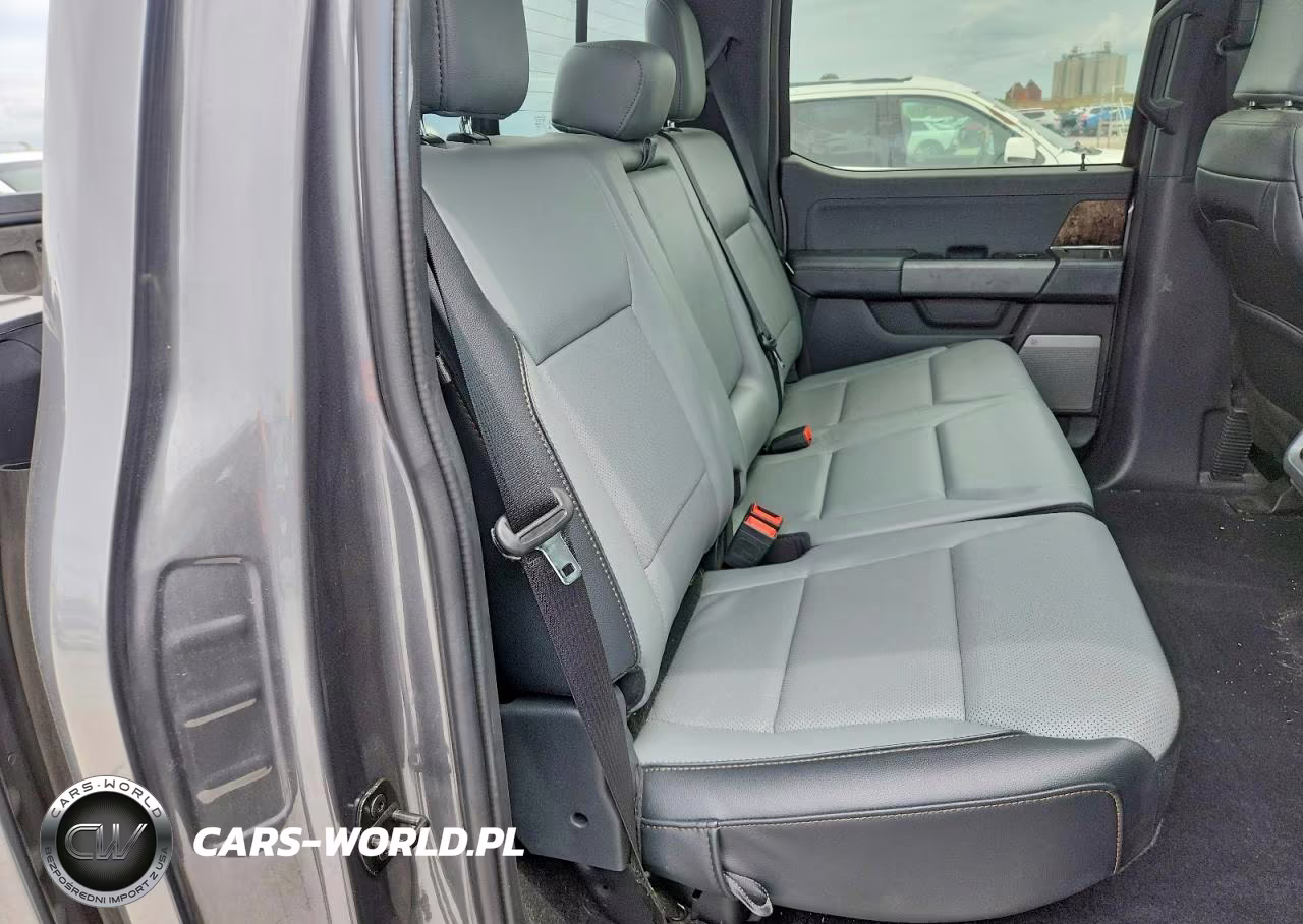 2023 Ford F150 Lightning Pro VIN:1FT6W1EV4PWG34647 - 10